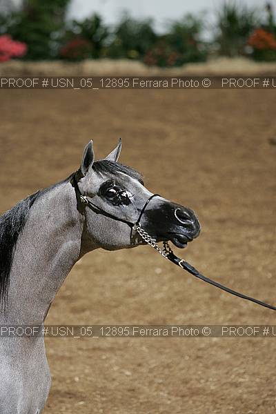 Proof usn_05_12895
