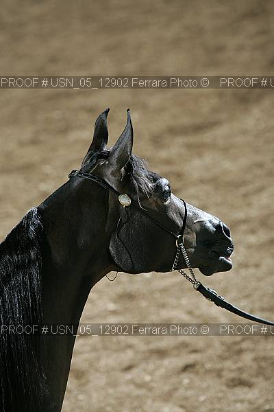 Proof usn_05_12902