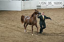 usn_05_16895 proof
