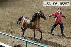 Proof usn_05_16897