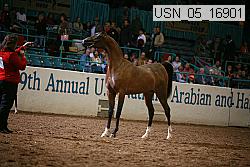 usn_05_16901 proof