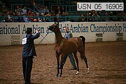 usn_05_16905 proof