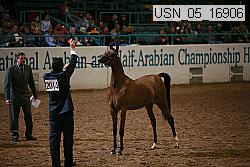 usn_05_16906 proof
