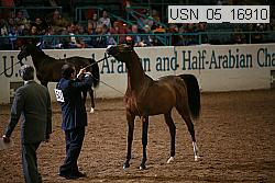 usn_05_16910 proof