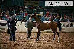 usn_05_16911 proof