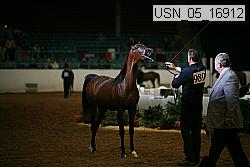 usn_05_16912 proof