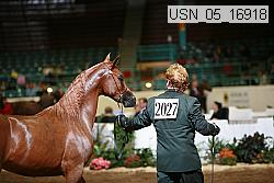 usn_05_16918 proof
