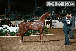 usn_05_16920 proof