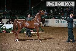 usn_05_16921 proof