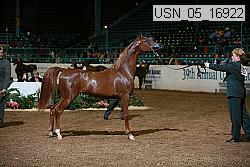 usn_05_16922 proof