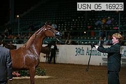 usn_05_16923 proof