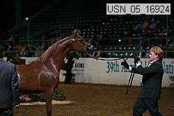 usn_05_16924 proof