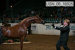 usn_05_16925 proof