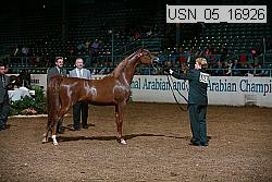 usn_05_16926 proof