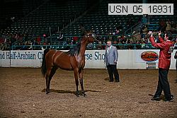 usn_05_16931 proof