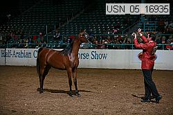 usn_05_16935 proof