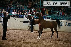 usn_05_16951 proof
