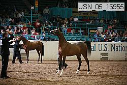usn_05_16955 proof