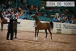 usn_05_16957 proof