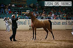 usn_05_16962 proof