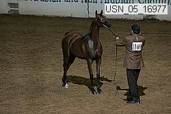 usn_05_16977 proof