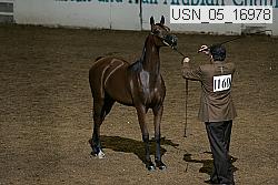 usn_05_16978 proof