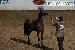 usn_05_16979 proof