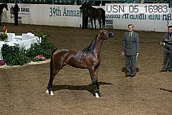 usn_05_16983 proof