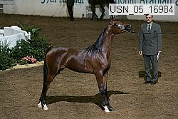 usn_05_16984 proof