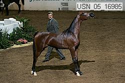 usn_05_16985 proof
