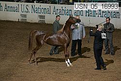 usn_05_16993 proof