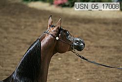 usn_05_17008 proof
