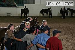usn_05_17025 proof
