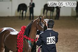 usn_05_17038 proof