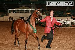 usn_05_17054 proof