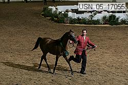usn_05_17055 proof