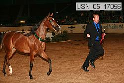 usn_05_17056 proof