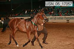 usn_05_17057 proof