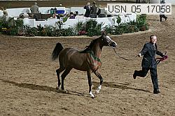 usn_05_17058 proof