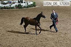 usn_05_17059 proof
