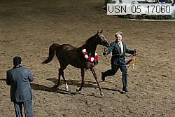 usn_05_17060 proof