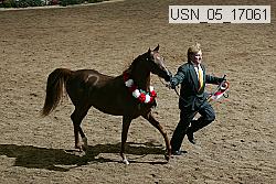 usn_05_17061 proof