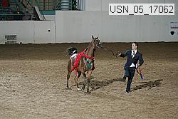 usn_05_17062 proof