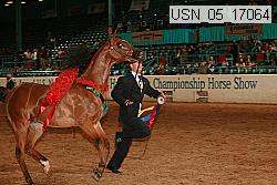 usn_05_17064 proof