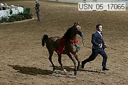 usn_05_17065 proof