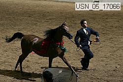 usn_05_17066 proof