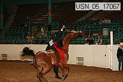 usn_05_17067 proof