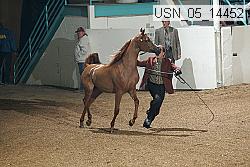 usn_05_14452 proof