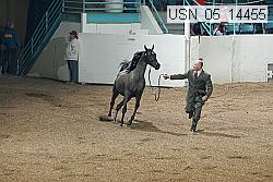 usn_05_14455 proof