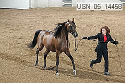 usn_05_14458 proof